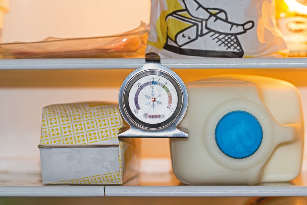 Termometar za frižider, HENDI, 60x40x(H)70mm