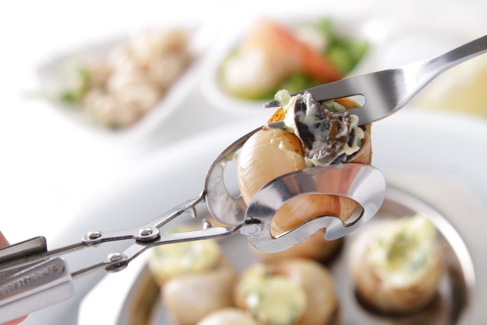 Hvataljka za puževe - 2 komada, HENDI, 2 kom, (L)170mm