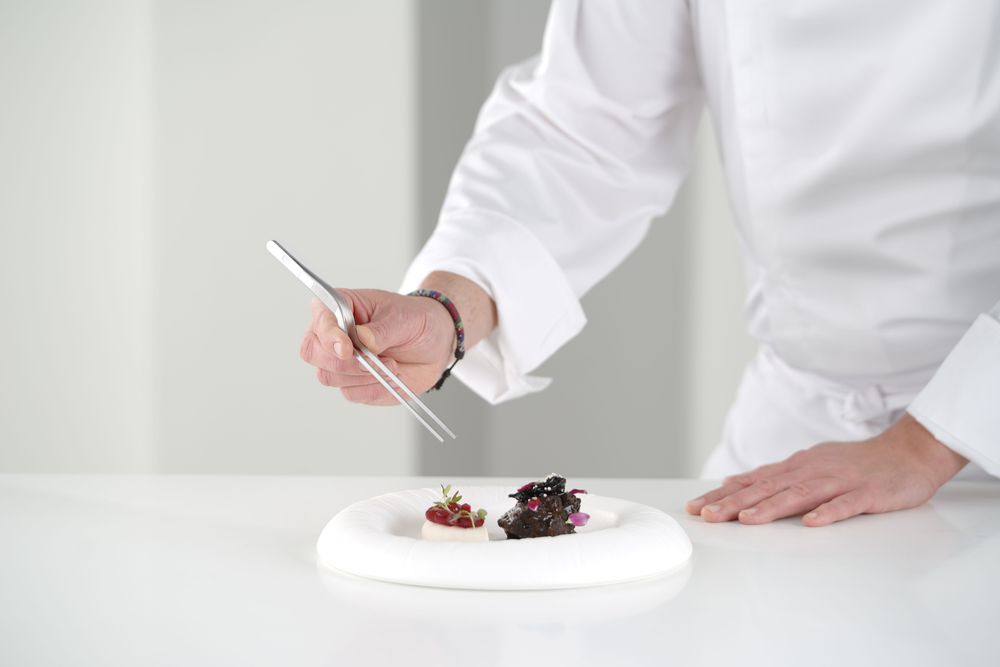 Zakrivljena pinceta, HENDI, (L)210mm