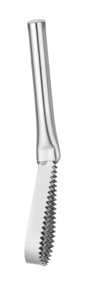 Nož za čišćenje krljušti ribe, HENDI, 240x46mm