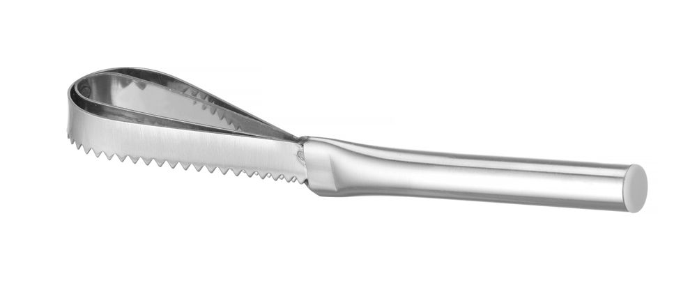 Nož za čišćenje krljušti ribe, HENDI, 240x46mm