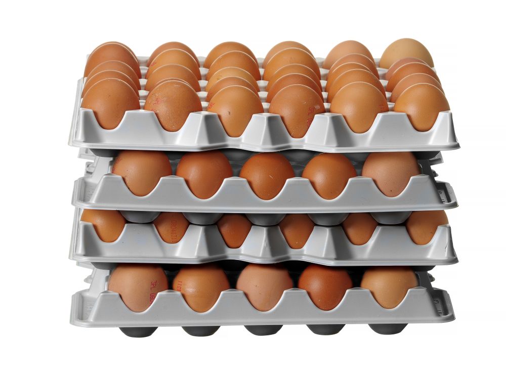 Komplet od 4 posude za jaja za OVOBOX 120, HENDI, 291x288x(H)41mm