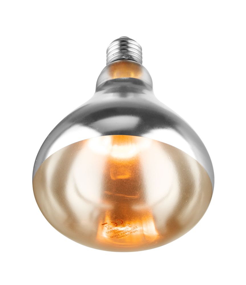 Infracrvena sijalica za zagrevanje, HENDI, Bela, 230V/250W, ⌀125x(H)170mm