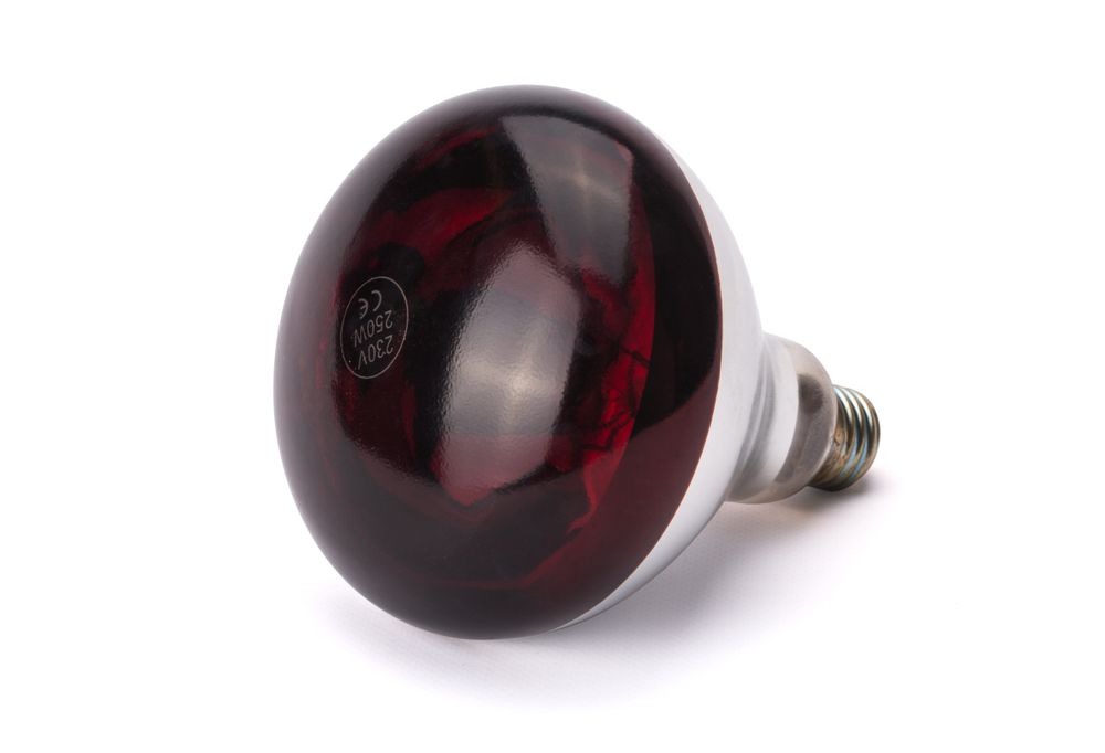 Infracrvena sijalica za zagrevanje, HENDI, Crvena, 230V/250W, ⌀125x(H)170mm