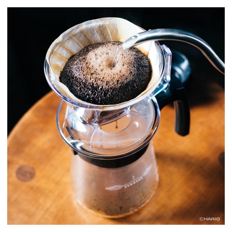 Hario Pegasus 02 Coffee Dripper - Consistent Pour Over