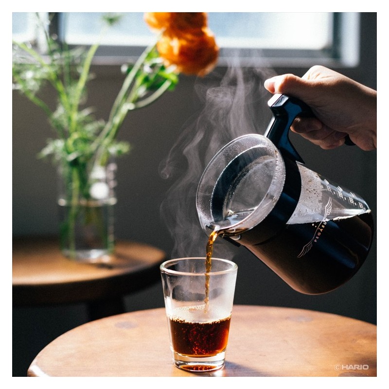 Hario Pegasus 02 Coffee Dripper - Consistent Pour Over