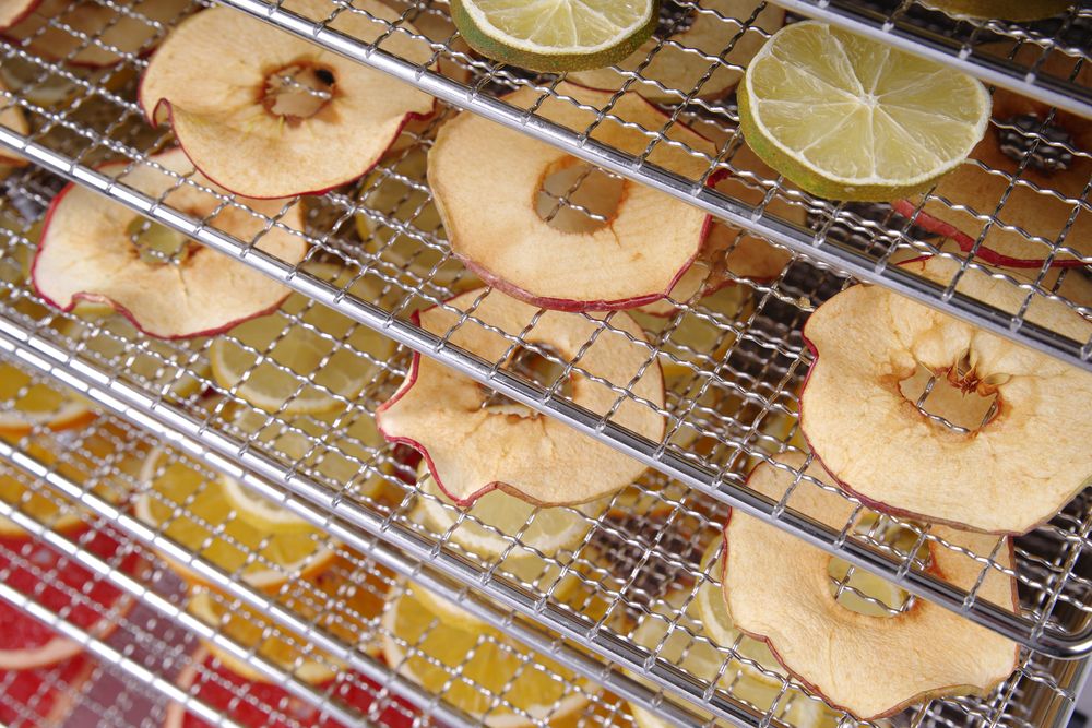 Dehidrator hrane Profi Line 10 limova, HENDI, Profi Line, 10 limova, 230V/1000W, 430x550x(H)416mm - Slika 4